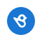 Birdeye Logo