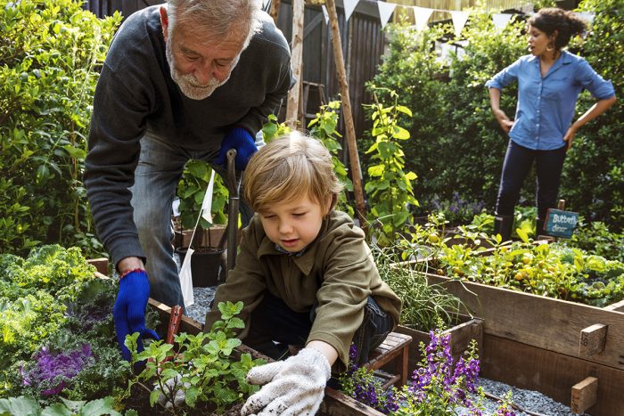 family garden