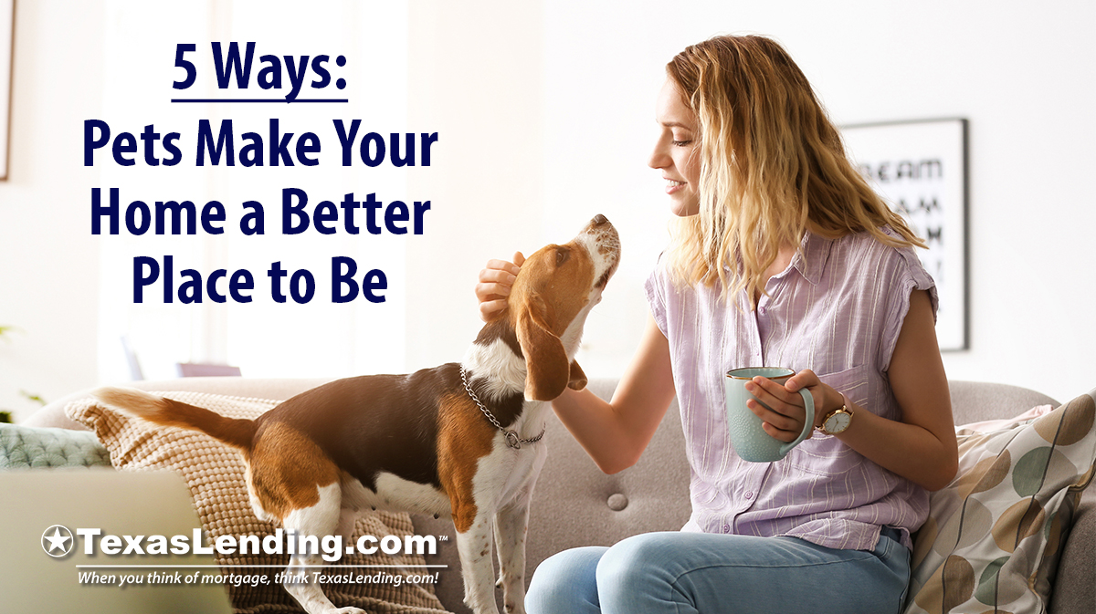 Pets make your home a better place to be