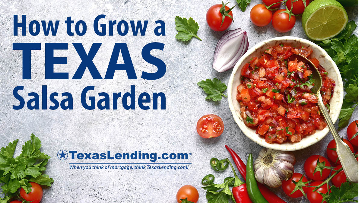 Texas Salsa Garden